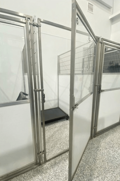 A clean, empty animal kennel with a partially open metal and glass door, numbered 6, standing on a speckled floor in a brightly lit room.